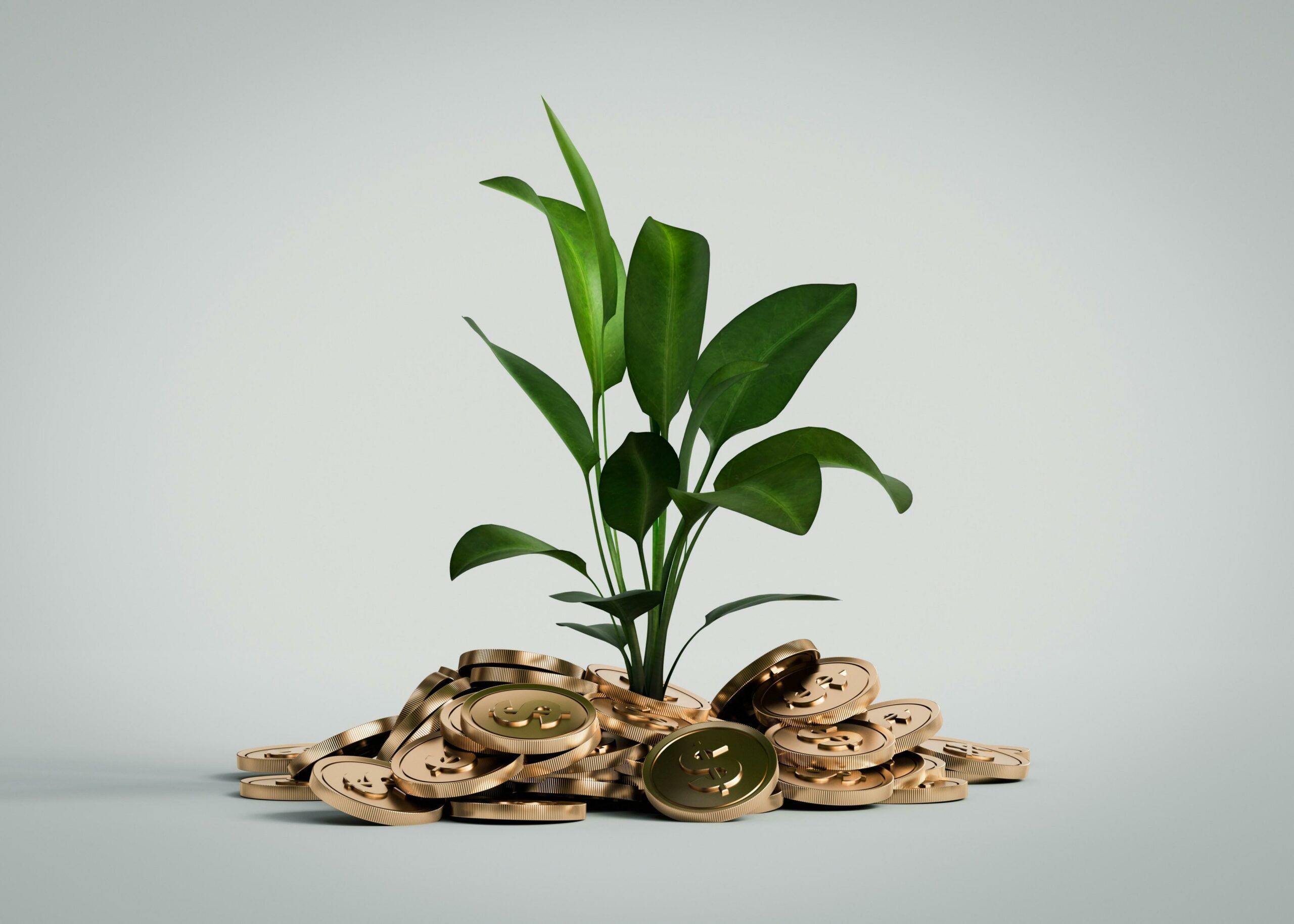 [aggregator] downloaded image for imported item #6117