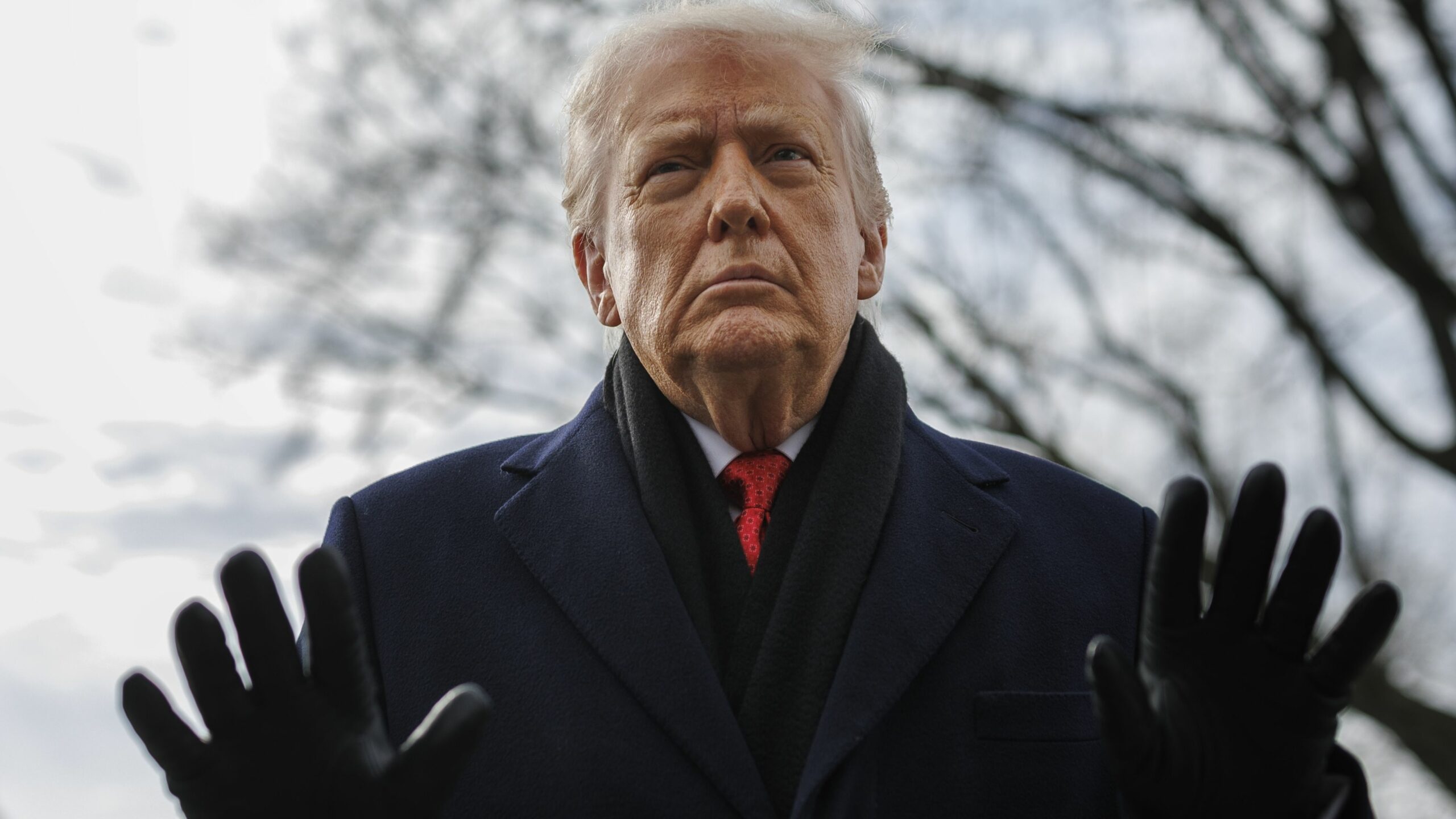 [aggregator] downloaded image for imported item #5029