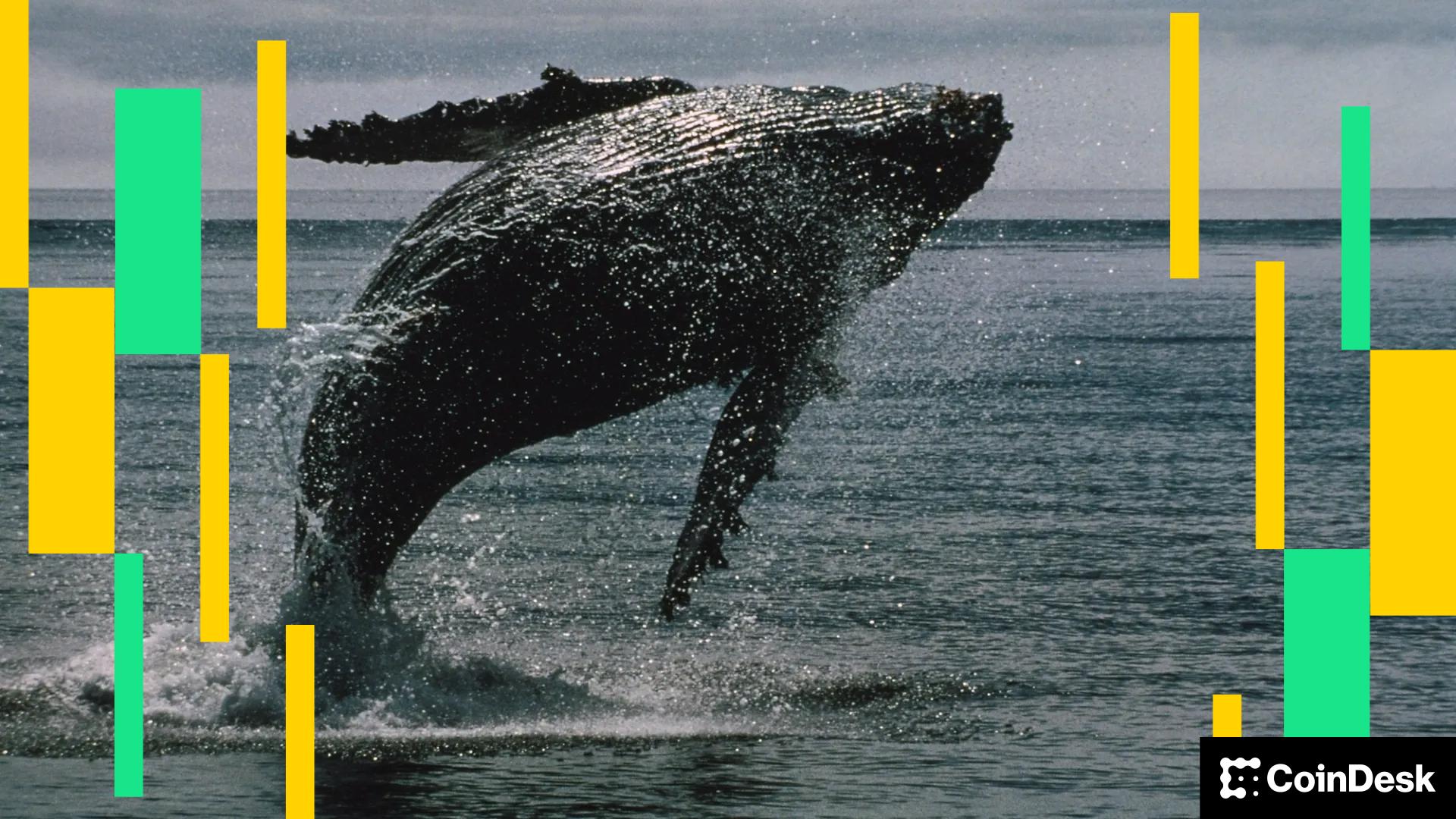 [aggregator] downloaded image for imported item #4945