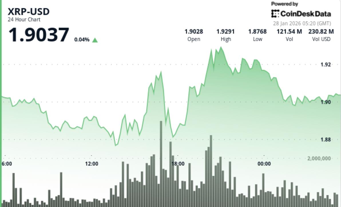 [aggregator] downloaded image for imported item #5877