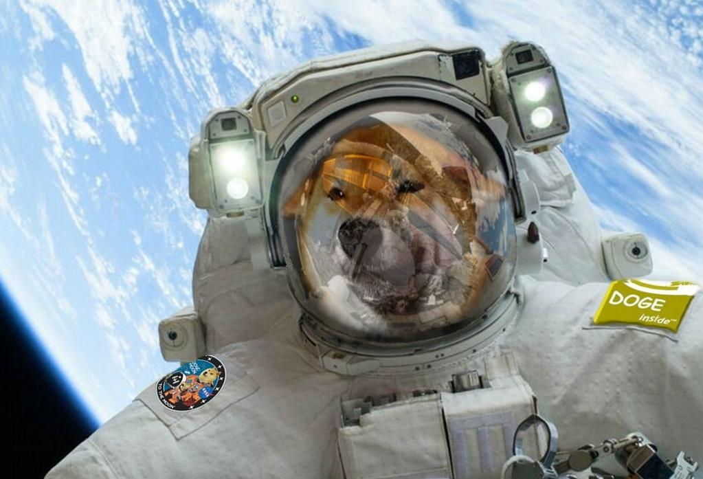 [aggregator] downloaded image for imported item #6713