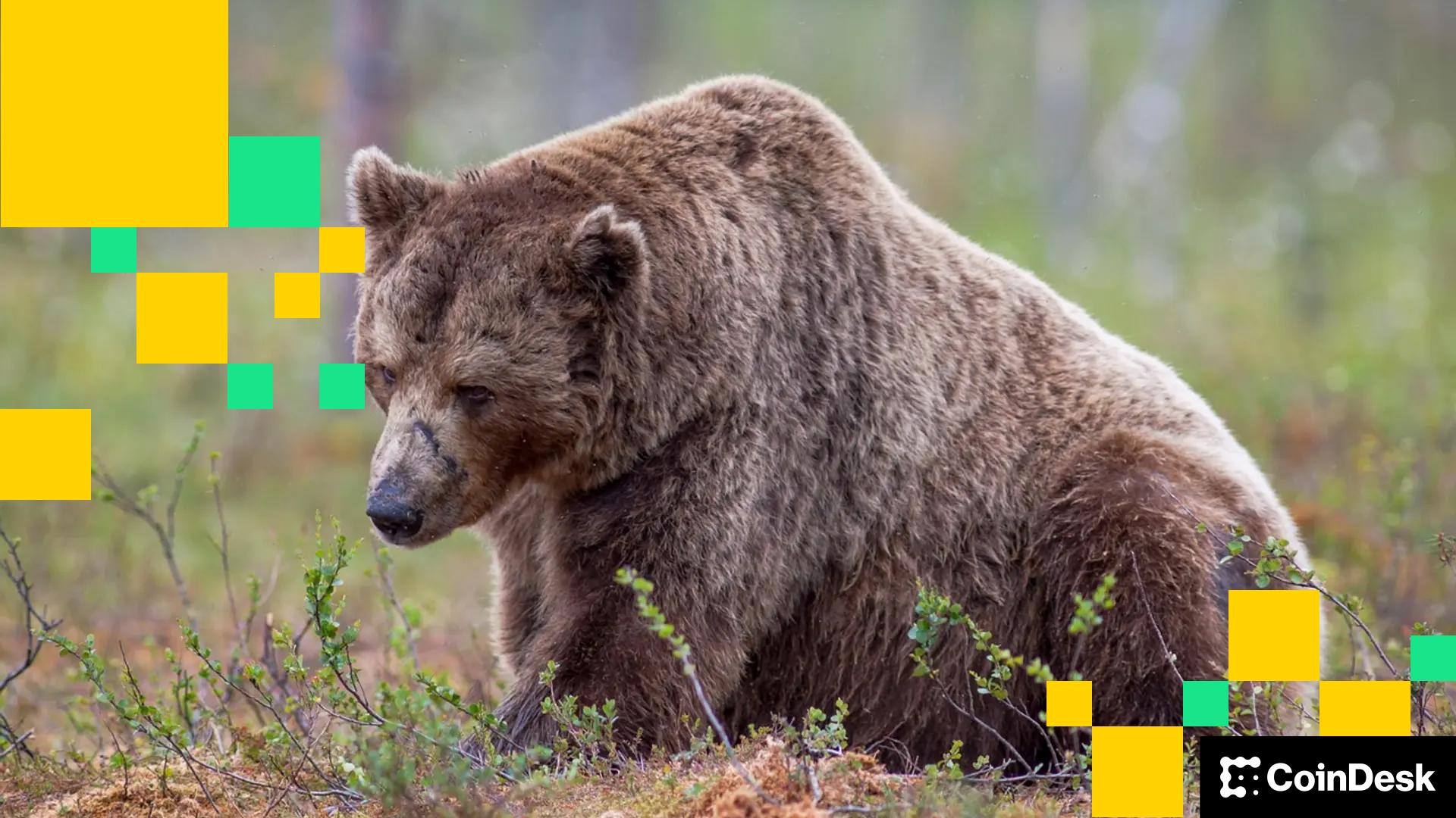 [aggregator] downloaded image for imported item #8985