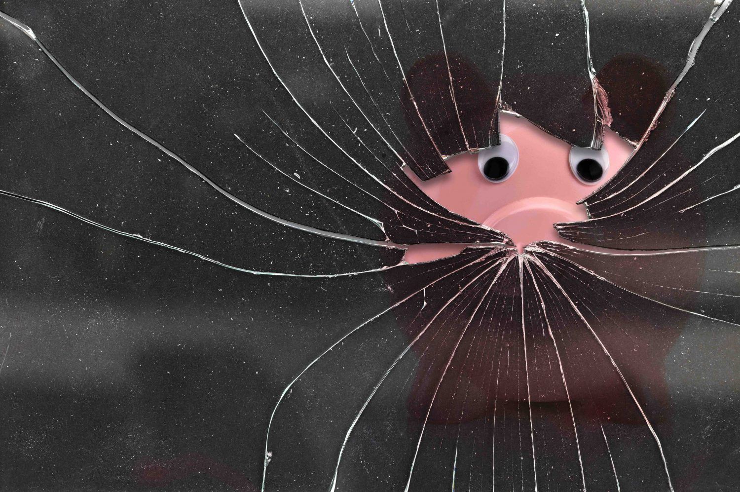 [aggregator] downloaded image for imported item #9739