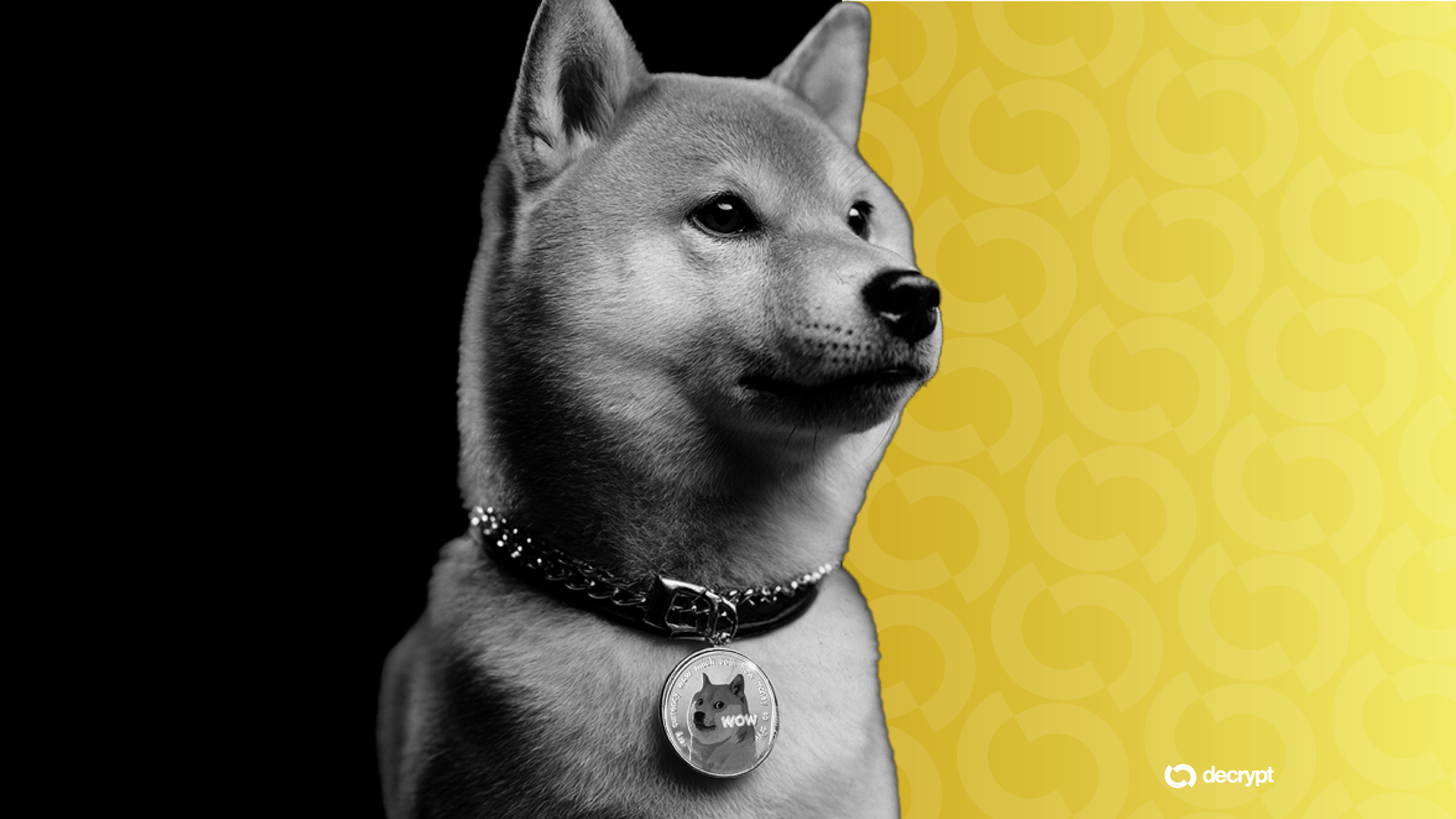 [aggregator] downloaded image for imported item #10538