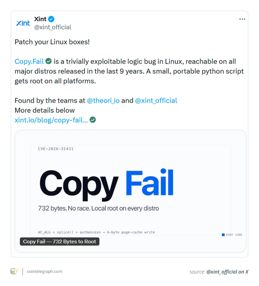Xintofficial On X