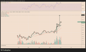 Hyperliquid bear turns bullish after losing over $46M shorting HYPE