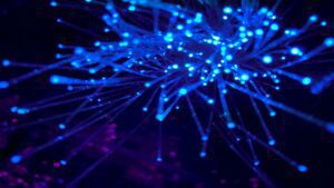 The future of crypto payments won’t include on-ramps or bridges, Fun CEO says